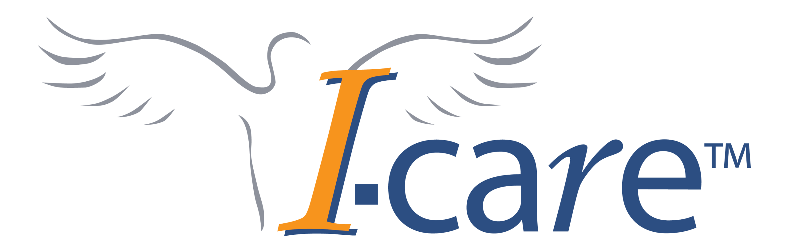 Lire la suite à propos de l’article I-care Group