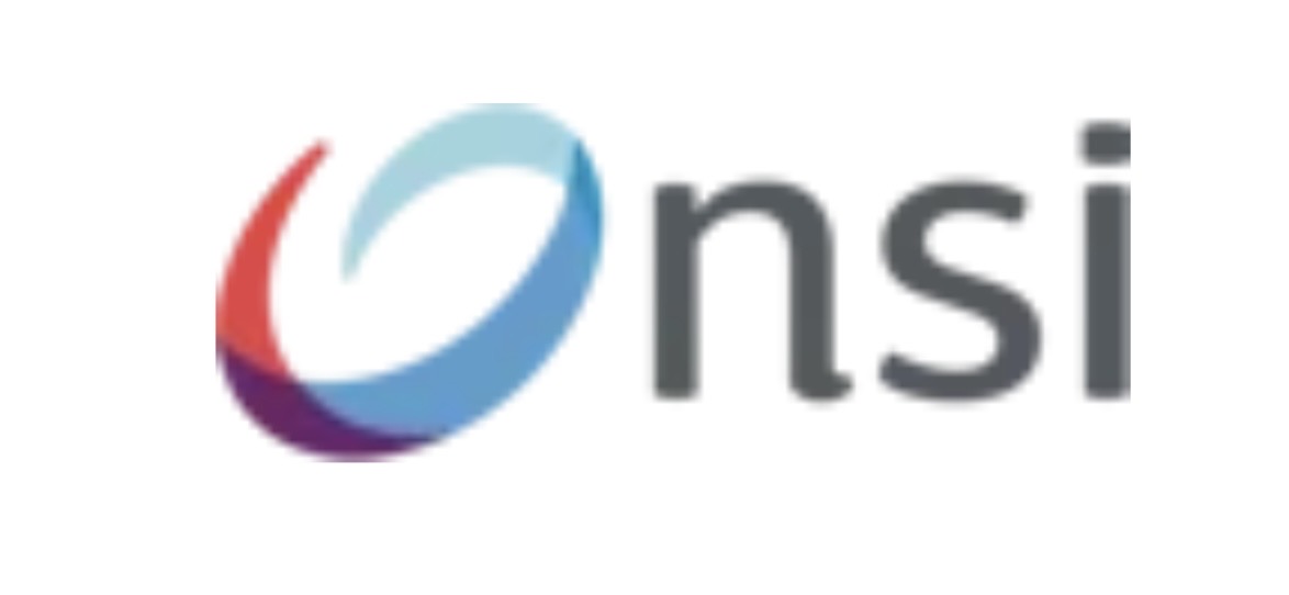 Lire la suite à propos de l’article NSI IT Software & Services